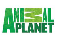 Animal Planet